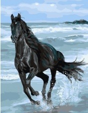 Картина по номерам Paintboy GX 29330 Ветер свободы 40x50 см