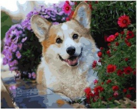 Картина по номерам Paintboy GX 36083 Корги в цветочной клумбе 40х50 см