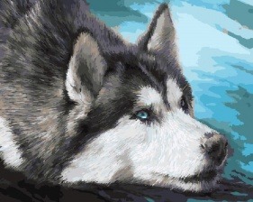 Картина по номерам Paintboy GX 4762 Преданный хаски 40x50 см