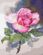 Картина по номерам Paintboy PK 33011 Цветок на рассвете 40x50 см