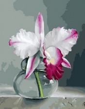 Картина по номерам Paintboy PK 33080 Орхидея на сером фоне 40x50 см