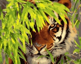 Картина по номерам Paintboy GX 31632 Тигр в укрытии 40x50 см