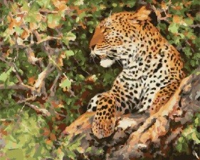 Картина по номерам Paintboy PK 35033 Отдых леопарда 40x50 см
