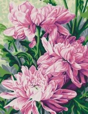Картина по номерам Paintboy GX 22411 Хризантемы 40x50 см