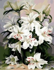 Картина по номерам Paintboy GX 29431 Чистота лилий 40x50 см
