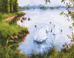 Картина по номерам Paintboy GX 29777 Лебеди у берега 40x50 см