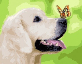 Картина по номерам Paintboy GX 29813 Любопытный щенок 40x50 см