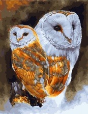 Картина по номерам Paintboy GX 31082 Бело-золотые совы 40x50 см