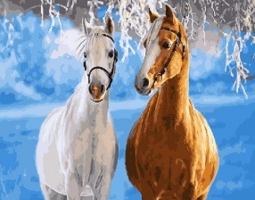 Картина по номерам Paintboy GX 29795 (GX 31608) Пара лошадей 40x50 см