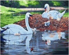 Картина по номерам Paintboy GX 31767 Семья лебедей 40х50 см