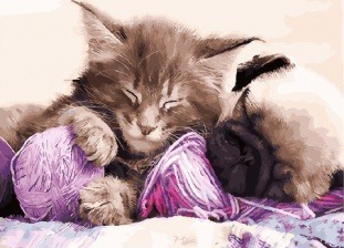 Картина по номерам Paintboy GX 31170 Котенок, щенок и клубок 40x50 см