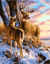 Картина по номерам Paintboy PK 41040 Пара оленей 40x50 см