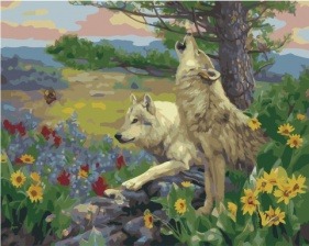 Картина по номерам Paintboy PK 41092 Степные волки 40x50 см