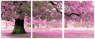 Картина по номерам ТРИПТИХ Paintboy P 036 Сакура 3 шт. 40x50 см