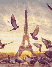 Картина по номерам Paintboy PK 49024 Парижские голуби 40x50 см