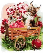 Картина по номерам Paintboy PK 26039 (GX 28591) Котенок в тележке 40x50 см
