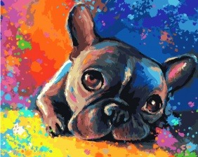 Картина по номерам Paintboy GX 28895 Мечты бульдога 40x50 см