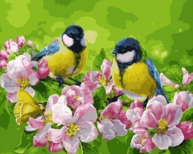 Картина по номерам Paintboy GX 32778 Синицы на цветущей ветке 40x50 см