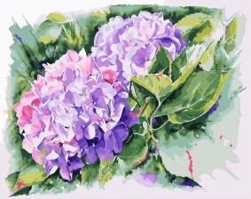 Картина по номерам Paintboy PK 19024 (GX 26934) Гортензия 40x50 см