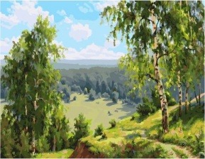 Картина по номерам Paintboy PK 59029 (GX 24521) Березовая долина (Прищепа Игорь) 40х50 см