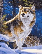 Картина по номерам Paintboy GX 27363 Волки в зимнем лесу 40x50 см
