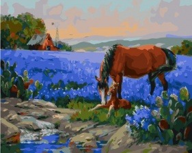 Картина по номерам Paintboy PK 41066 Забота о жеребенке 40x50 см