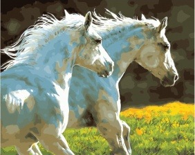 Картина по номерам Paintboy GX 30151 Пара белых лошадей 40x50 см