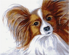 Картина по номерам Paintboy PK 45060 Папильон 40х50 см