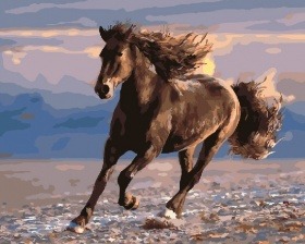 Картина по номерам Paintboy GX 25885 Бег лошади 40x50 см
