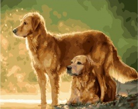 Картина по номерам Paintboy GX 34657 Дружба 40x50 см