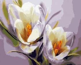 Картина по номерам Paintboy GX 5828 Цветочная нежность 40x50 см