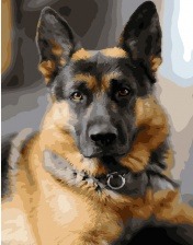 Картина по номерам Paintboy GX 29392 На страже 40x50 см