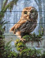 Картина по номерам GXT 8346 Сова 40x50 см