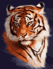 Картина по номерам Paintboy PK 19077 (GX 26948) Удивительный взгляд 40x50 см
