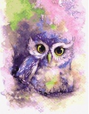 Картина по номерам Paintboy PK 24043 (GX 28128) Мудрая совушка 40x50 см