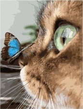 Картина по номерам Paintboy GX 36433 Бабочка на носу у кошки 40х50 см