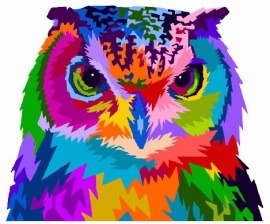 Картина по номерам Paintboy GX 26721 Радужная сова 40x50 см
