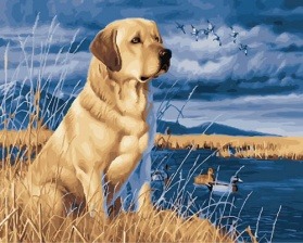 Картина по номерам Paintboy GX 24186 Преданность 40x50 см