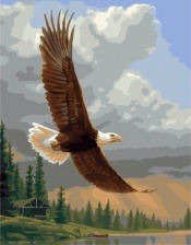 Картина по номерам Paintboy PK 38054 Полет хищника 40x50 см