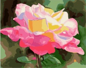 Картина по номерам Paintboy PK 49017 Бутон розы под солнцем 40x50 см