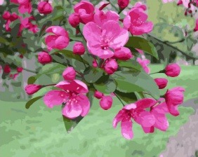 Картина по номерам Paintboy GX 32460 Цветущие ветви 40x50 см