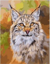 Картина по номерам Paintboy GX 31665 Рысь 40х50 см