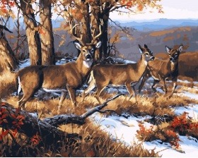 Картина по номерам Paintboy PK 16036 (GX 25751) Семейство оленей 40x50 см