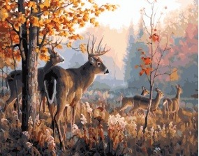 Картина по номерам Paintboy PK 16037 (GX 25766) Олень в лесу 40x50 см