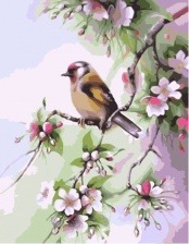 Картина по номерам Paintboy GX 32144 Весенняя пташка 40x50 см