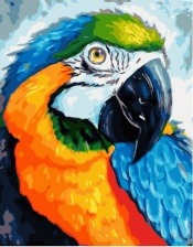 Картина по номерам Paintboy GX 33153 Разноцветный ара 40x50 см