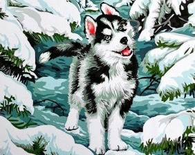 Картина по номерам Paintboy GX 9264 Маленький хаски 40x50 см