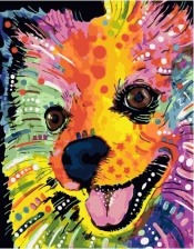 Картина по номерам Paintboy PK 41003 Радужный шпиц 40x50 см