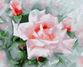 Картина по номерам Paintboy GX 27464 Дивная роза 40x50 см