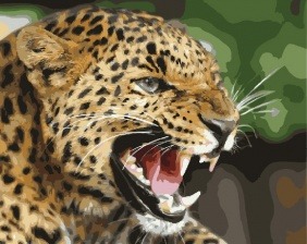 Картина по номерам Paintboy GX 30793 Оскал леопарда 40x50 см